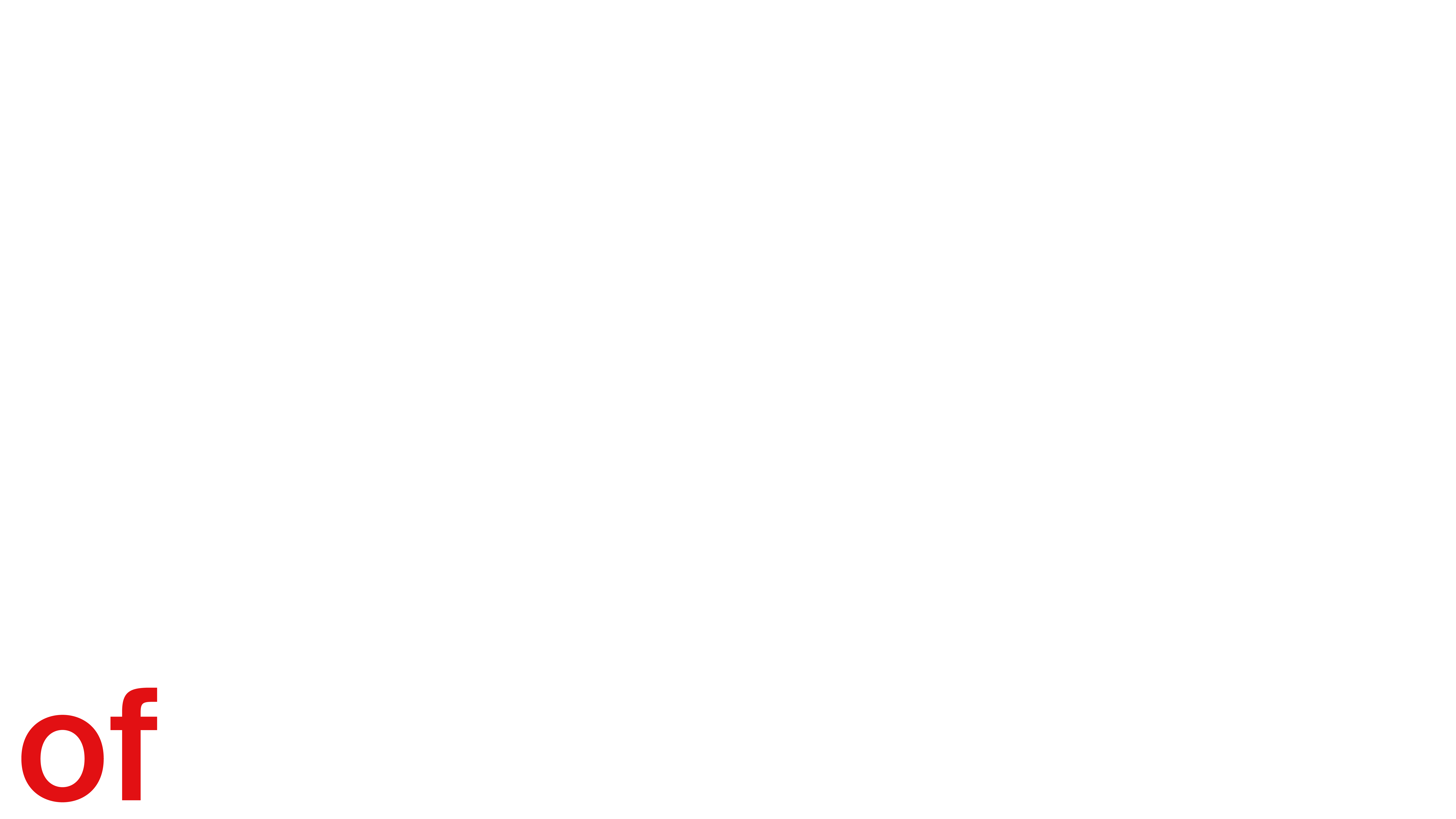 Vision of Detail Logo